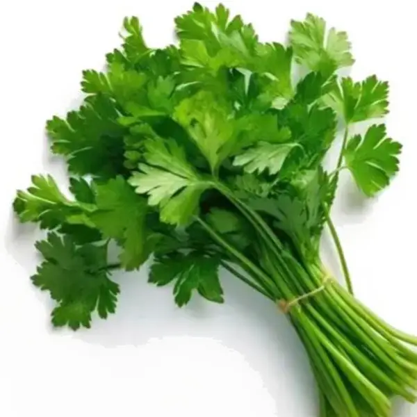 香菜 / Coriander