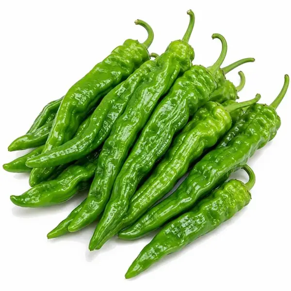 螺丝椒 / Wrinkled Green Pepper
