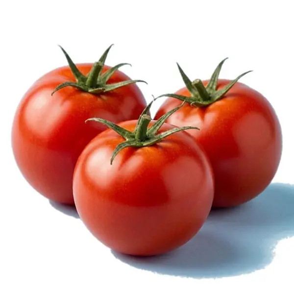 西红柿 / Tomato