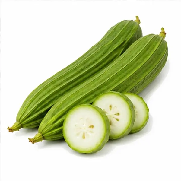 丝瓜 / Luffa Gourd