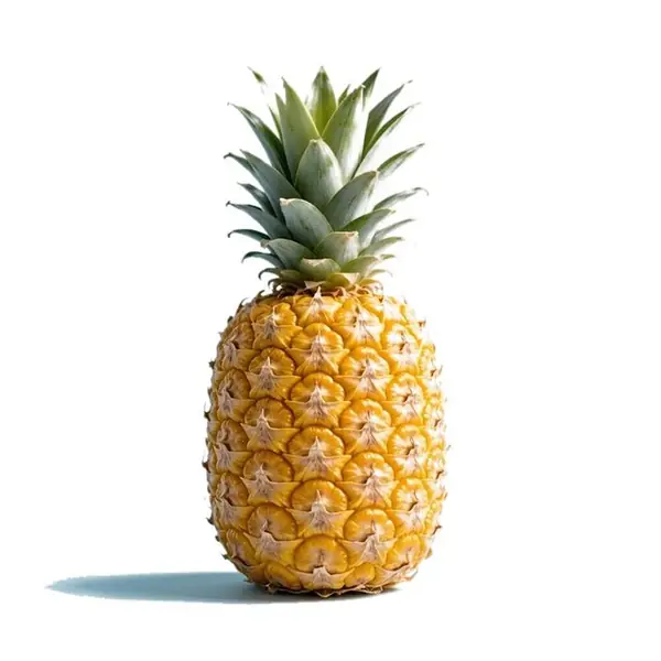 菠萝 / Pineapple