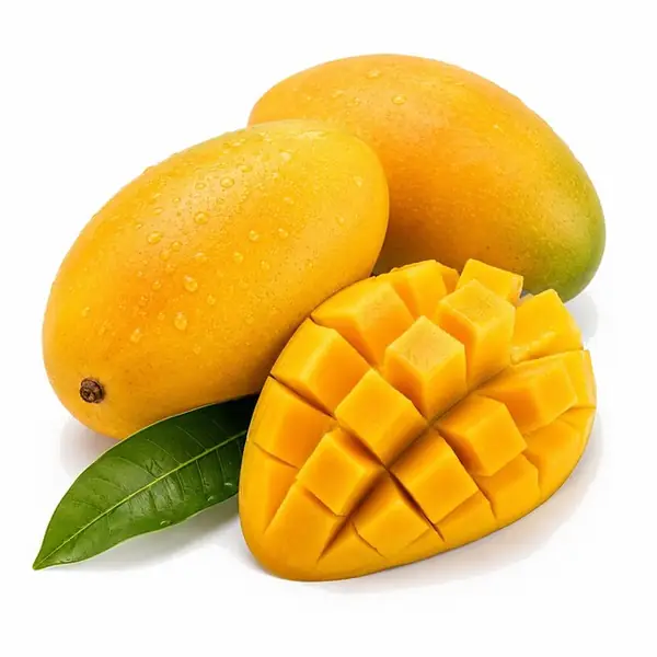 芒果 / Mango
