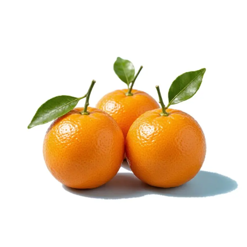 蜜橘 / Mandarin Orange