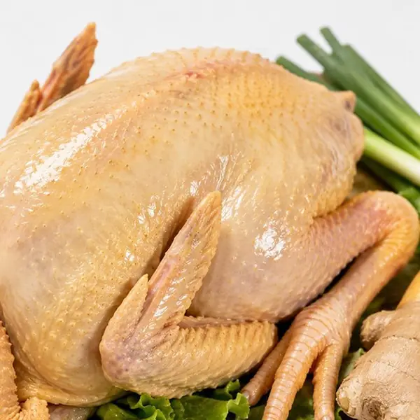 走地鸡 / Free-range Chicken