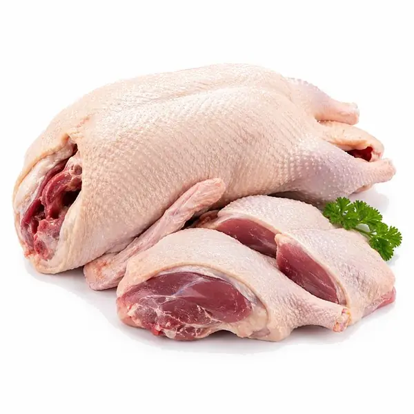 番鸭 / Muscovy Duck
