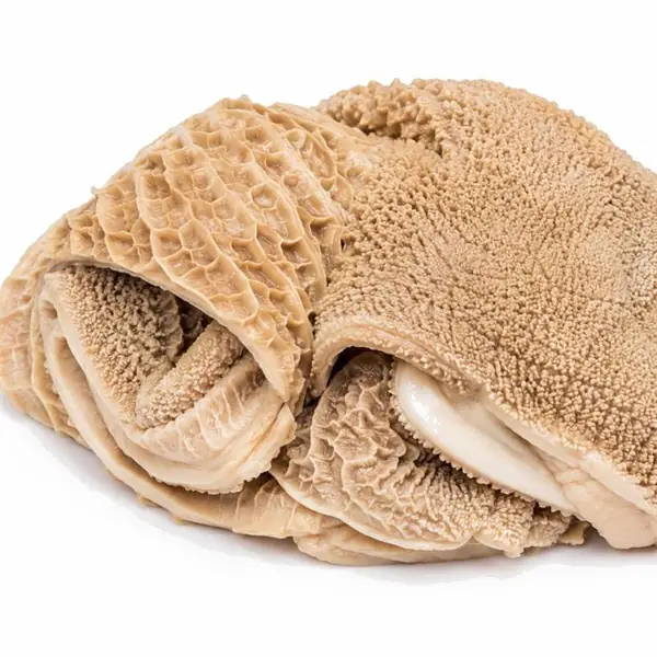 金钱肚 / Honeycomb Tripe