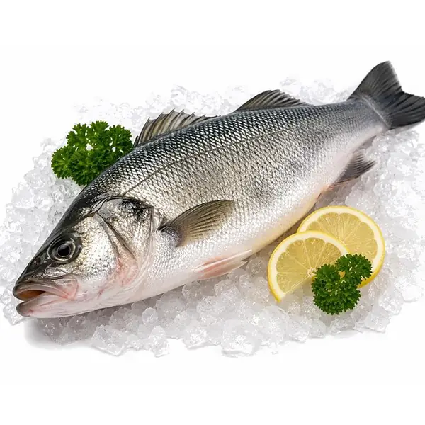 鲈鱼 / Sea Bass