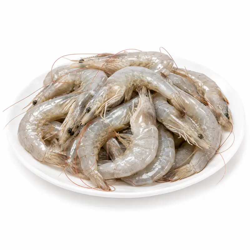 白虾 / White Shrimp