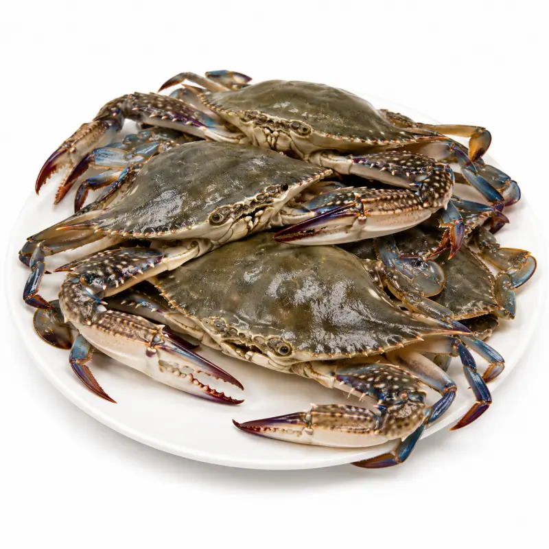 螃蟹 / Crab