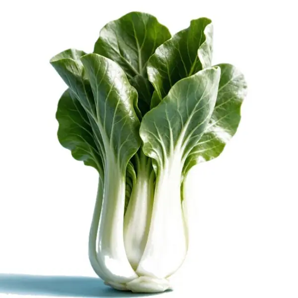 上海青 / Shanghai Bok Choy