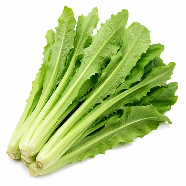 油麦菜 / A Choy