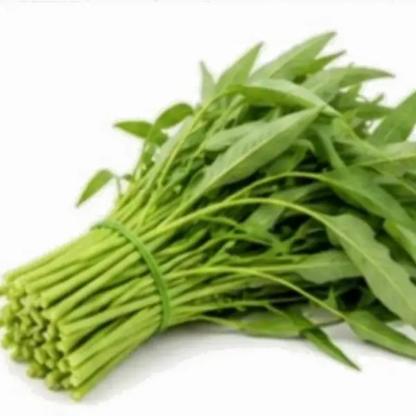 空心菜 / Water Spinach