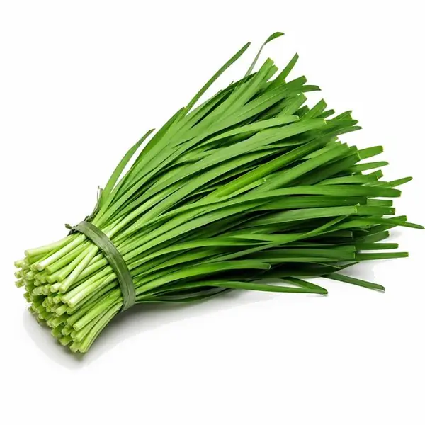 韭菜 / Chinese Chives
