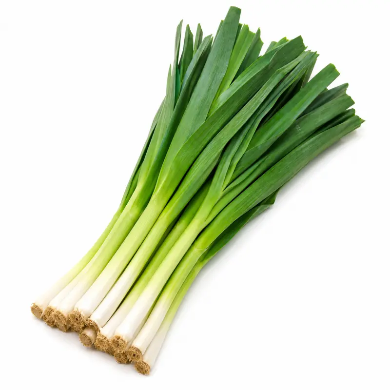 蒜苗 / Garlic Sprouts
