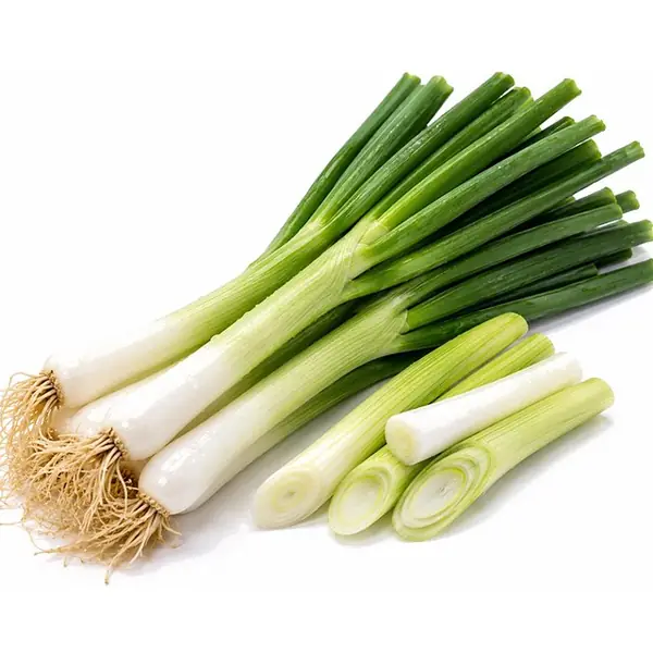 葱 / Spring Onion