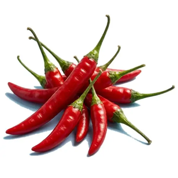 小米辣 / Bird's Eye Chilli