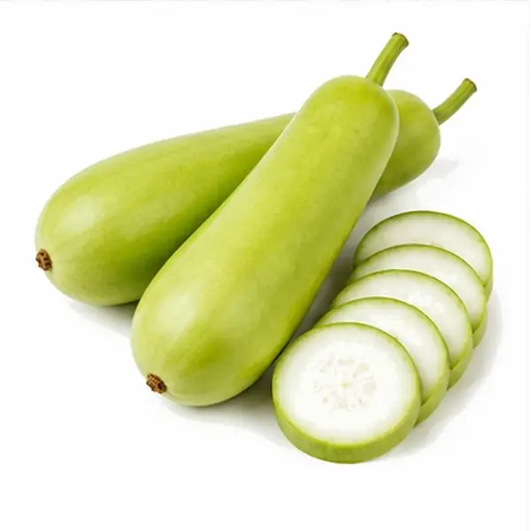 葫芦瓜 / Bottle Gourd