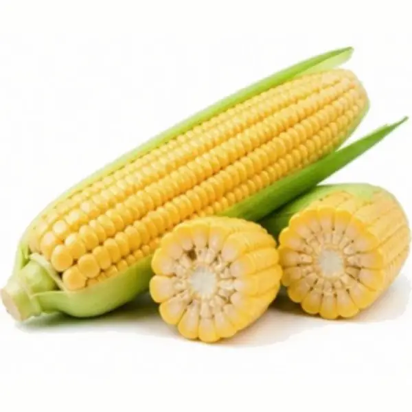 甜玉米 / Sweet Corn