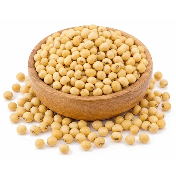 黄豆 / Soybeans