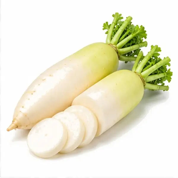 白萝卜 / White Radish