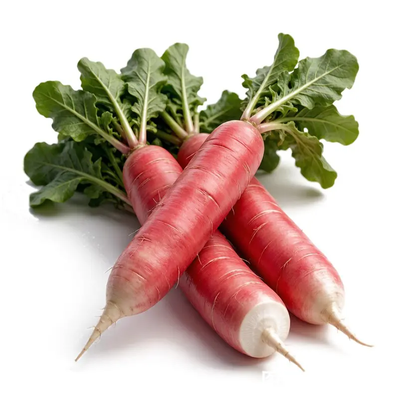 红皮萝卜 / Red Radish