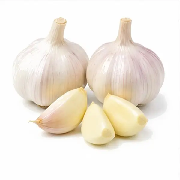 大蒜 / Garlic