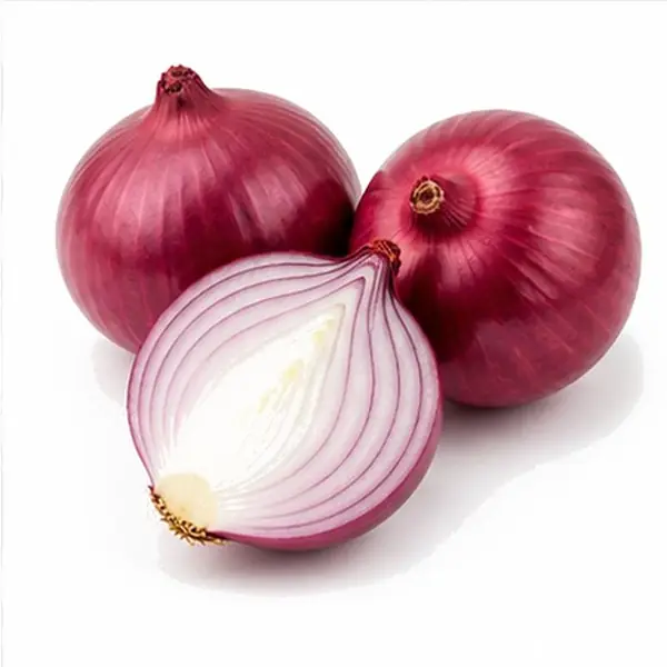 洋葱 / Onion