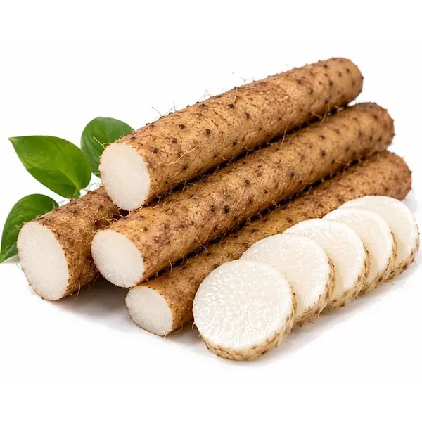 山药 / Chinese Yam