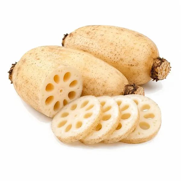 莲藕 / Lotus Root
