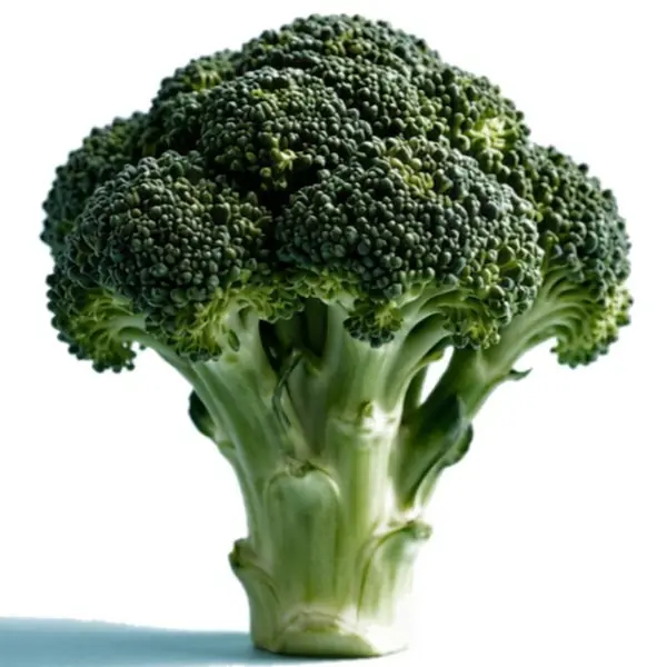 西兰花 / Broccoli